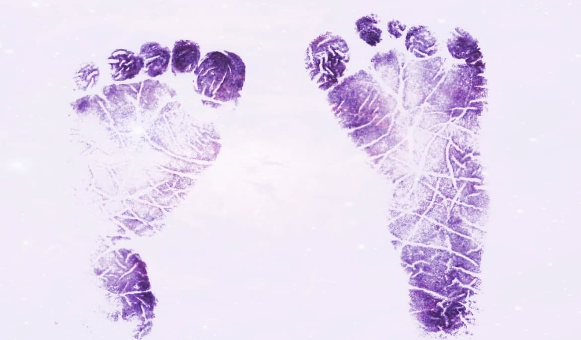 Violets footprints